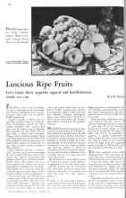 Better Homes & Gardens October 1931 Magazine Article: Luscious Ripe Fruits