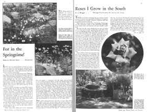 Better Homes & Gardens October 1931 Magazine Article: Page 14