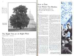 Better Homes & Gardens October 1931 Magazine Article: Page 24
