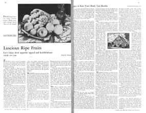 Better Homes & Gardens October 1931 Magazine Article: Page 44