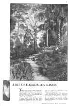 Better Homes & Gardens November 1931 Magazine Article: A BIT OF FLORIDA LOVELINESS