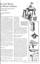 Better Homes & Gardens November 1931 Magazine Article: Life and Beauty for Winter Gardens