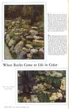 Better Homes & Gardens November 1931 Magazine Article: When Rocks Come to Life in Color