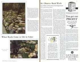 Better Homes & Gardens November 1931 Magazine Article: Page 38