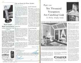 Better Homes & Gardens November 1931 Magazine Article: Page 42