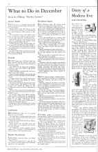 Better Homes & Gardens December 1931 Magazine Article: Diary of a Modern Eve