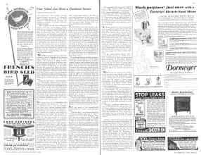 Better Homes & Gardens December 1931 Magazine Article: Page 48