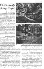 Better Homes & Gardens January 1932 Magazine Article: Where Beauty Brings Wages