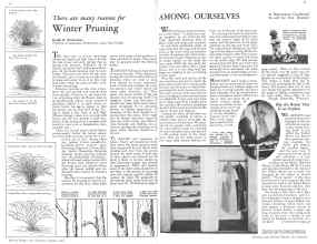 Better Homes & Gardens January 1932 Magazine Article: Page 18