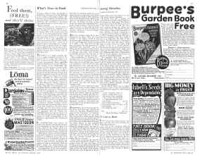 Better Homes & Gardens January 1932 Magazine Article: Page 34