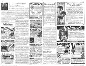 Better Homes & Gardens January 1932 Magazine Article: Page 38