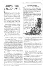 Better Homes & Gardens February 1932 Magazine Article: ALONG THE GARDEN PATH