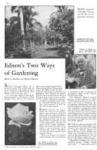 Better Homes & Gardens February 1932 Magazine Article: Edison's Two Ways of Gardening