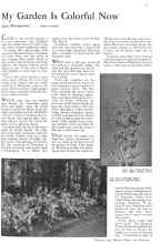 Better Homes & Gardens February 1932 Magazine Article: My Garden Is Colorful Now
