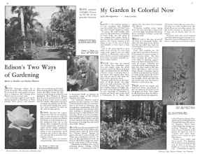Better Homes & Gardens February 1932 Magazine Article: Page 26