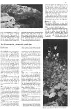 Better Homes & Gardens March 1932 Magazine Article: Article