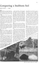 Better Homes & Gardens March 1932 Magazine Article: Conquering a Stubborn Soil