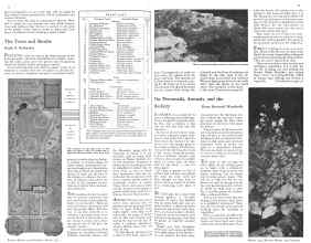 Better Homes & Gardens March 1932 Magazine Article: Page 14