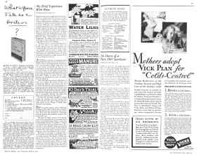Better Homes & Gardens March 1932 Magazine Article: Page 68