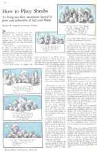 Better Homes & Gardens April 1932 Magazine Article: How to Place Shrubs