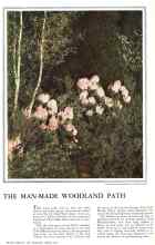 Better Homes & Gardens April 1932 Magazine Article: THE MAN-MADE WOODLAND PATH