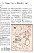 Better Homes & Gardens April 1932 Magazine Article: If You Would Plant a Woodland Path