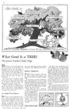 Better Homes & Gardens April 1932 Magazine Article: What Good Is a TREE?