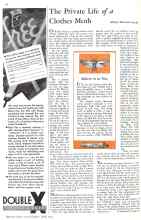 Better Homes & Gardens April 1932 Magazine Article: The Private Life of a Clothes Moth