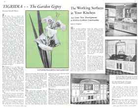 Better Homes & Gardens April 1932 Magazine Article: Page 16