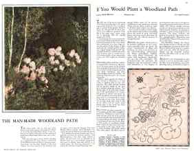 Better Homes & Gardens April 1932 Magazine Article: Page 38