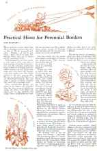 Better Homes & Gardens May 1932 Magazine Article: Practical Hints for Perennial Borders
