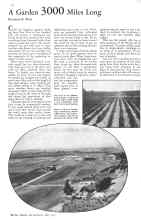 Better Homes & Gardens May 1932 Magazine Article: A Garden 3000 Miles Long