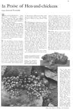 Better Homes & Gardens May 1932 Magazine Article: In Praise of Hen-and-chickens