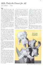 Better Homes & Gardens May 1932 Magazine Article: IRIS, Truly the Flower for All