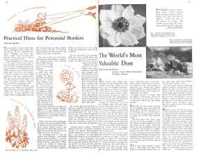 Better Homes & Gardens May 1932 Magazine Article: Page 16