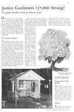 Better Homes & Gardens June 1932 Magazine Article: Junior Gardeners 125,000 Strong!