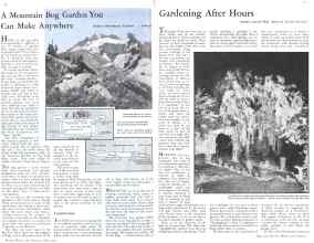 Better Homes & Gardens June 1932 Magazine Article: Page 16