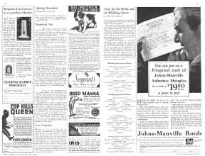 Better Homes & Gardens June 1932 Magazine Article: Page 56