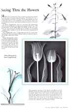Better Homes & Gardens July 1932 Magazine Article: Seeing Thru the Flowers