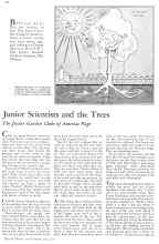 Better Homes & Gardens July 1932 Magazine Article: Junior Scientists and the Trees