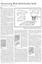 Better Homes & Gardens July 1932 Magazine Article: Adventuring With Rock-Garden Seeds