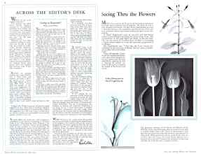 Better Homes & Gardens July 1932 Magazine Article: Page 6