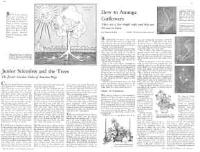 Better Homes & Gardens July 1932 Magazine Article: Page 20