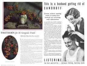 Better Homes & Gardens July 1932 Magazine Article: Page 26