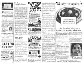 Better Homes & Gardens July 1932 Magazine Article: Page 44