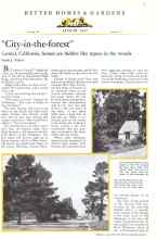 Better Homes & Gardens August 1932 Magazine Article: 