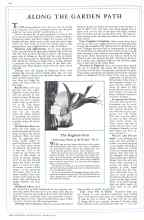 Better Homes & Gardens August 1932 Magazine Article: ALONG THE GARDEN PATH