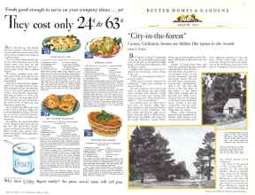 Better Homes & Gardens August 1932 Magazine Article: Page 8