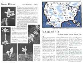 Better Homes & Gardens August 1932 Magazine Article: Page 16