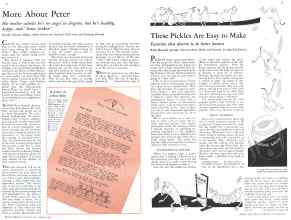 Better Homes & Gardens August 1932 Magazine Article: Page 20